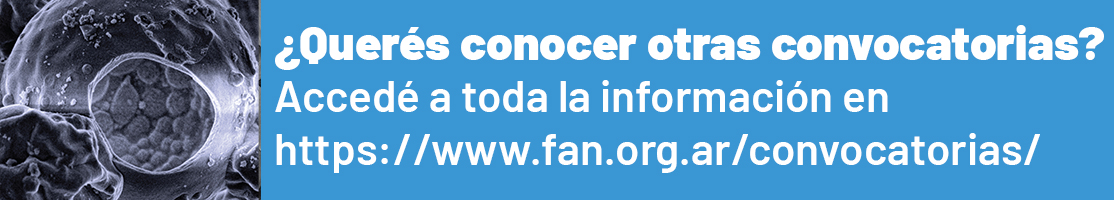 https://www.fan.org.ar/convocatorias/